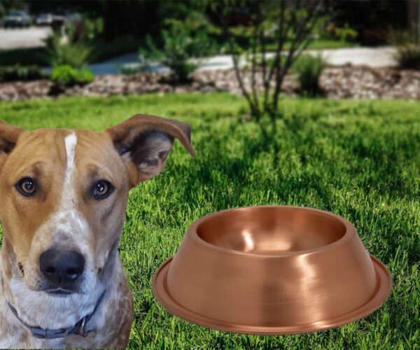 Pure copper dog drinking bowl